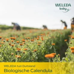 WELEDA Calendula baby verzorgende olie (200 ml)