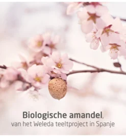 WELEDA Mama zwangerschapsolie (100 ml)
