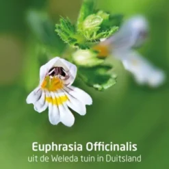 WELEDA Ogentroost oogdruppels (10 ml)