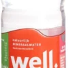 Well Bronwater Met Koolzuur (500 ml)