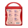 Wild Stripes Pleister First Aid Kit (21 stuks)
