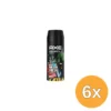 6x Axe Deodorant Bodyspray Fresh Forest &Graffiti (150 ml)