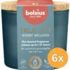 6x Bolsius Geurglas met kurk 66/83 True Joy Woody Wellness (1 stuk)