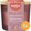 6x Bolsius Geurglas Met Kurk 66/83 True Joy Floral Blessings (1 stuk)