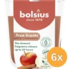 6x Bolsius Geurglas 80/73 True Scents Apple Cinnamon (1 stuk)