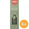 6x Bolsius Geurverspreider 80 ml True Joy Botanic Freshness (80 ml)