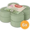 6x Bolsius Maxilichten clear cup 8u True Scents Rosemary (8 stuks)