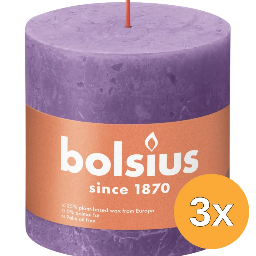 3x Bolsius Rustiek Stompkaars 100/100 Vibrant Violet (1 stuk)