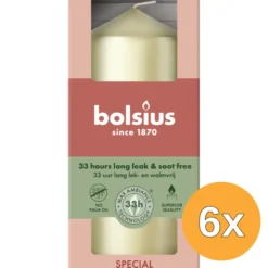 6x Bolsius Stompkaars 120/58 metallic White Silver (1 stuk)