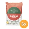 6x Bolsius Theelicht 4-Uur Zak (75 stuks)