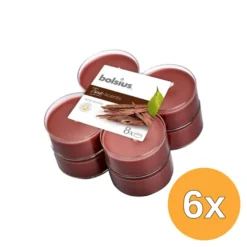 6x Bolsius True Scents Maxilicht Old Wood (8 stuks)