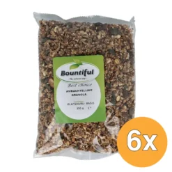 6x Bountiful Ambachtelijke Granola Glutenvrij Bio (350 gr)