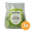 3x Bountiful Hakhoning eucalyptus (300 gr)