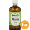 6x Bountiful Stevia Vloeibaar (100 ml)