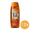 12x Fa Douchegel Empowering Moments (250 ml)