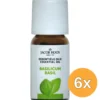 6x Jacob Hooy Basilicum olie (10 ml)