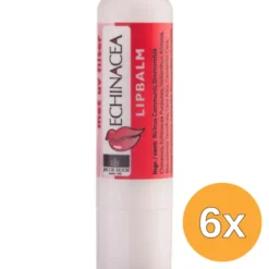 6x Jacob Hooy Echinacea Lipbalsem (1 stuk)