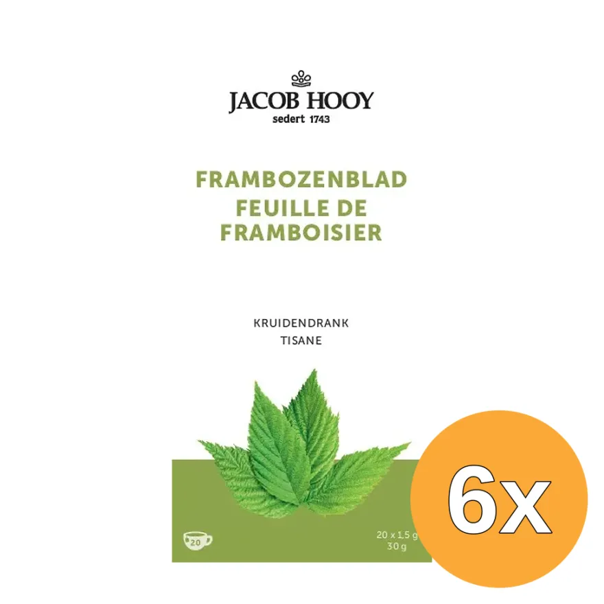6x Jacob Hooy Frambozenblad (20 zakjes)