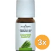 3x Jacob Hooy Kajapoet olie (10 ml)