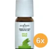 6x Jacob Hooy Salie olie (10 ml)