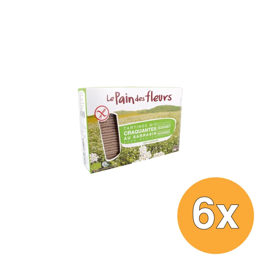 6x Le Pain Des Fleurs Boekweit Crackers Bio (300 gr)