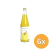 6x Luna e Terra Sinaasappelsap demeter bio (700 ml)