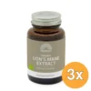 3x Mattisson Biologische Lion’S Mane Extract 500 Mg (60 capsules)