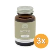 3x Mattisson Lactase Optiferm 3000 Fcc (90 capsules)