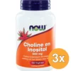 3x Now Choline en inositol 500 mg (100 vega capsules)