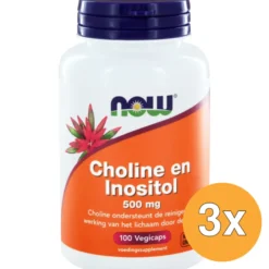 3x Now Choline en inositol 500 mg (100 vega capsules)