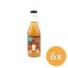 6x Terrasana Gembersiroop Bio (250 ml)