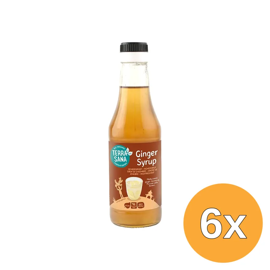 6x Terrasana Gembersiroop Bio (250 ml)
