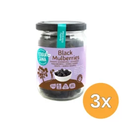 3x Terrasana Moerbei Bessen Zwart Bio (190 gr)