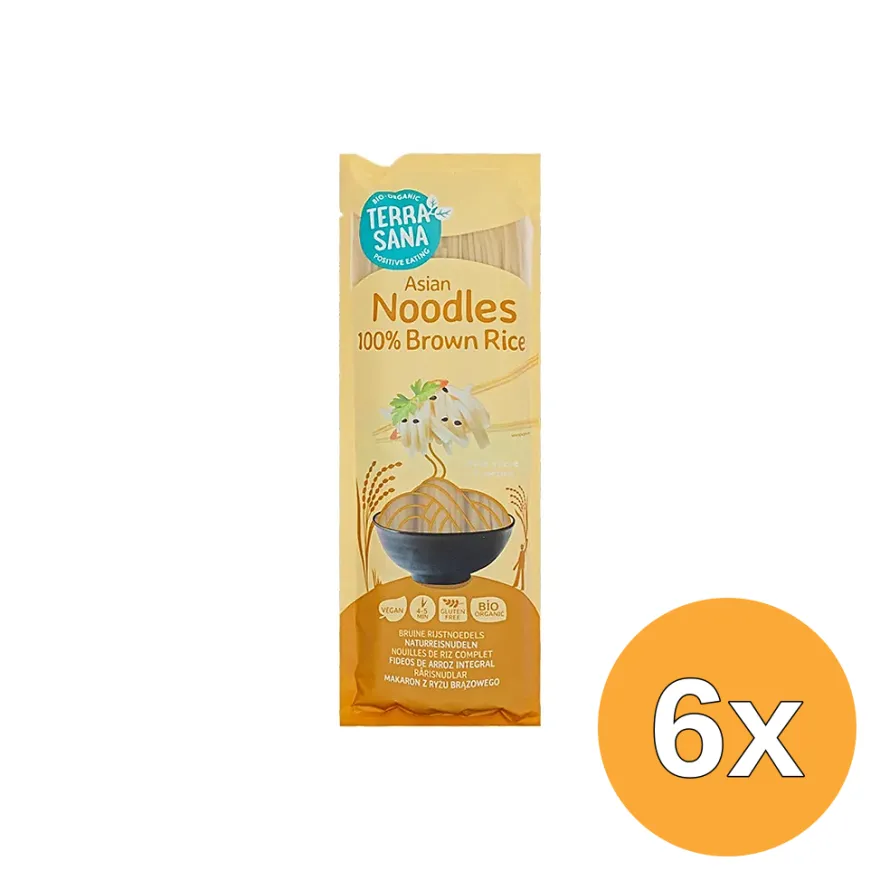 6x TerraSana Noedels bruine rijst bio (250 gr)