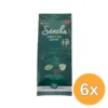 6x Terrasana Senchagroene Thee Bio (75 gr)