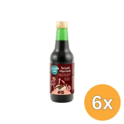 6x Terrasana Teriyaki Eko Bio (250 ml)