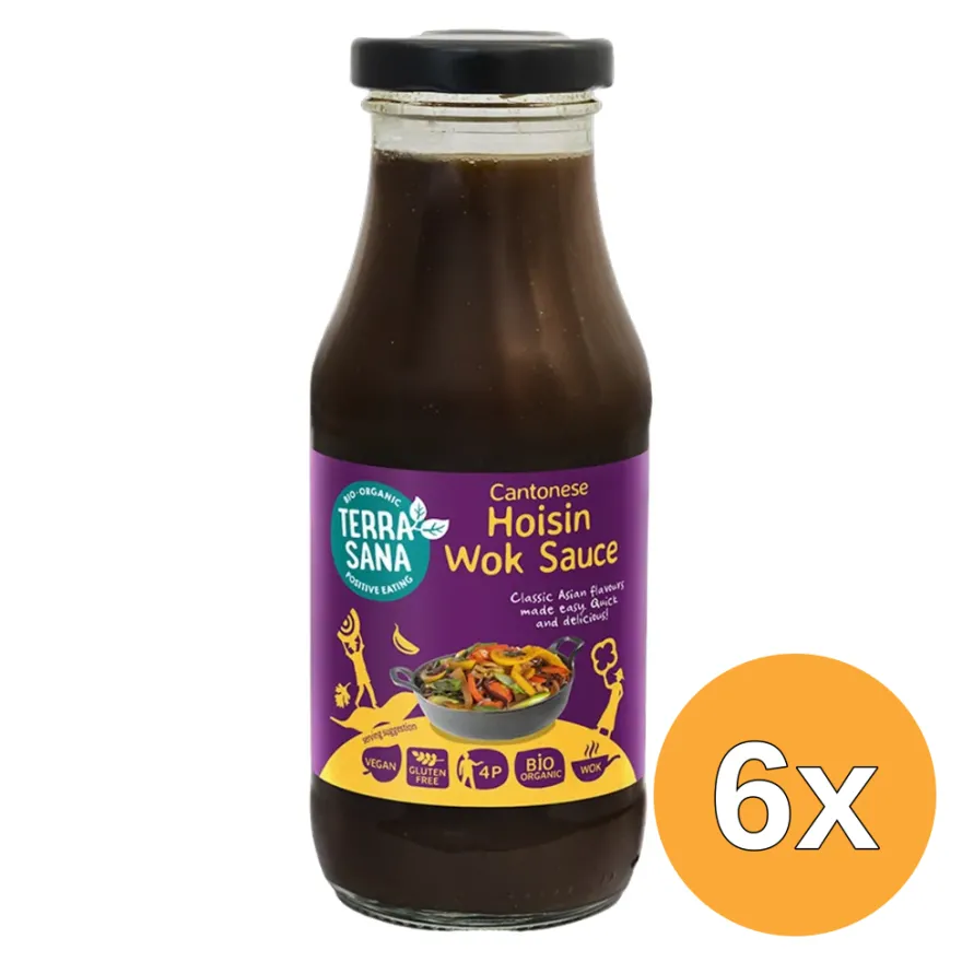 6x TerraSana Woksaus Hoisin (240 ml)