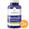 3x Vitakruid Berberine 500 Rebersa® 97-102% Berberine Zouten (90 vega capsules)