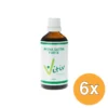 6x Vitiv Avena Sativa Forte (100 ml)