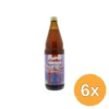 6x Voelkel Kombucha Bio (750 ml)