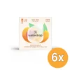 6x Waterdrop Microdrink Ice Tea Bruistablet Peach (12 stuks)