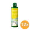 12x Weleda Energy Douchegel Gember (400 ml)