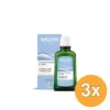 3x WELEDA 2-in-1 Reiniging (100 ml)