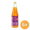 6x Your Organic Nature Vruchtensap Abrikozendrank (700 ml)