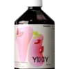 Yixiy Vloeibare Biotica Rozenbottel Bio (500 ml)