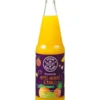 Your Organic Nature Vruchtensap appel ananas mango bio (700 ml)